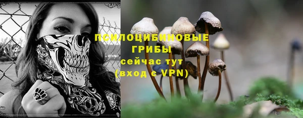 шишки Абинск