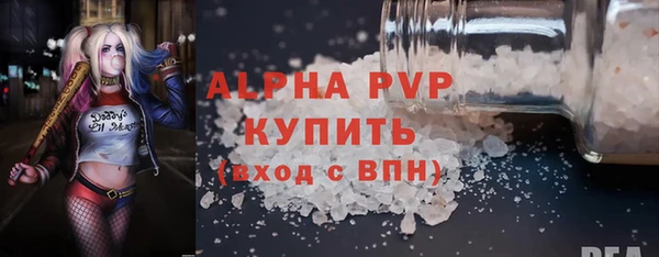 сатива Новозыбков