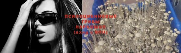 шишки Абинск