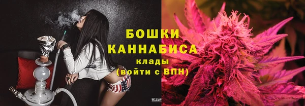 шишки Абинск