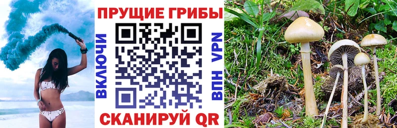 Псилоцибиновые грибы мухоморы  где можно купить   Отрадное 